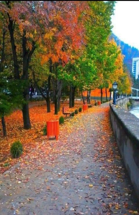 Gamsakhurdia Street Borjomi Eksteriør bilde